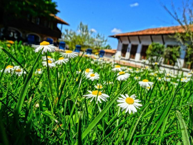 Hotel Izvora - Garden Retreat Arbanasi Exteriör bild